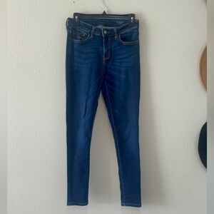 Arizona Jean Company Deep Indigo Skinny Jeans